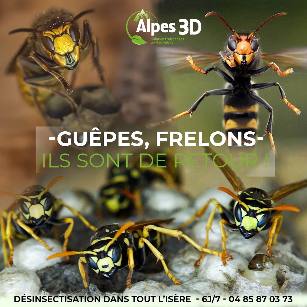 La désinsectisation par Alpes3D autour de Grenoble